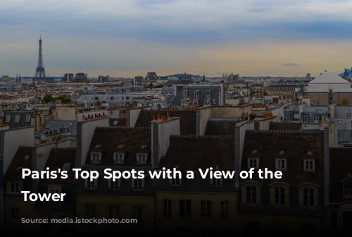 Paris's Top Spots with a View of the Eiffel Tower