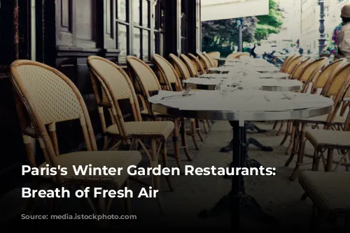 Paris's Winter Garden Restaurants: A Breath of Fresh Air