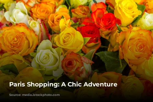 Paris Shopping: A Chic Adventure