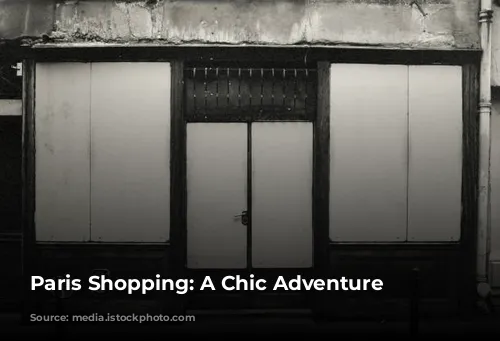 Paris Shopping: A Chic Adventure