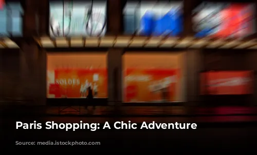 Paris Shopping: A Chic Adventure