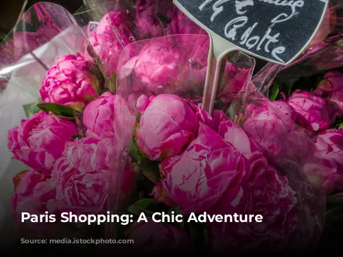 Paris Shopping: A Chic Adventure