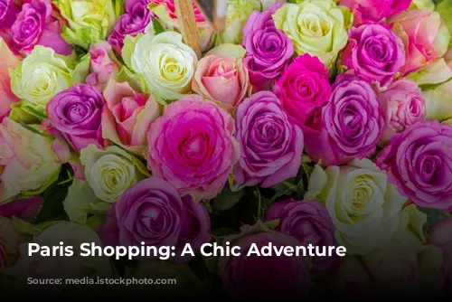 Paris Shopping: A Chic Adventure