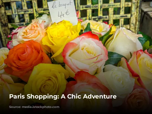 Paris Shopping: A Chic Adventure