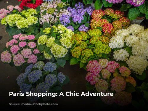 Paris Shopping: A Chic Adventure