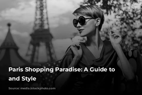 Paris Shopping Paradise: A Guide to Luxury and Style