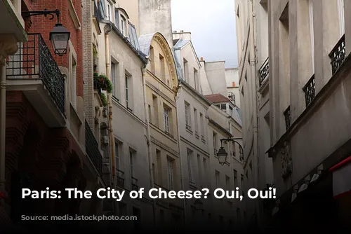 Paris: The City of Cheese? Oui, Oui!