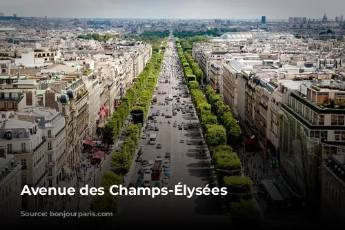 Avenue des Champs-Élysées 