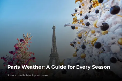 Paris Weather: A Guide for Every Season