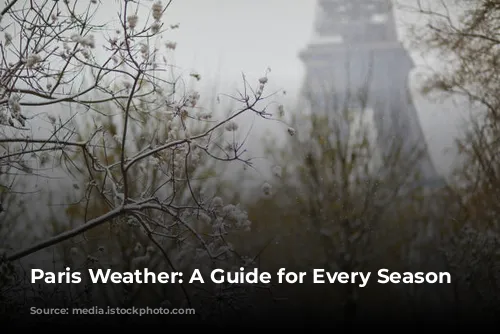 Paris Weather: A Guide for Every Season