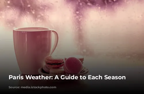 Paris Weather: A Guide to Each Season