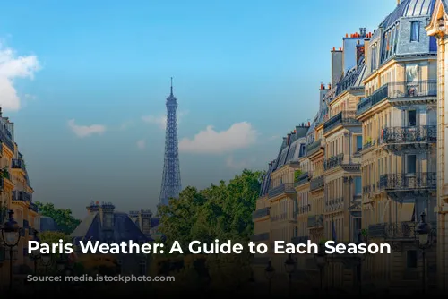 Paris Weather: A Guide to Each Season