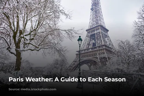 Paris Weather: A Guide to Each Season