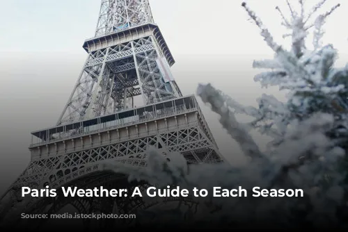 Paris Weather: A Guide to Each Season