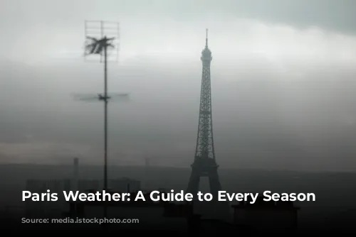 Paris Weather: A Guide to Every Season