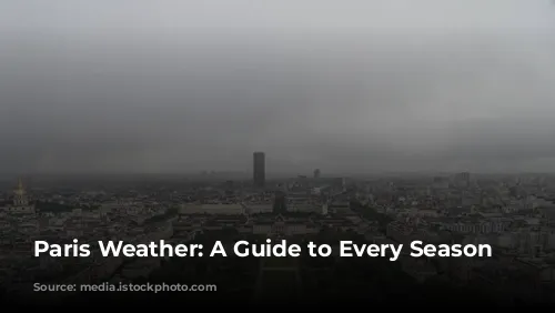 Paris Weather: A Guide to Every Season