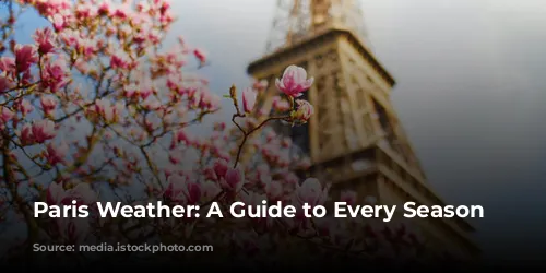 Paris Weather: A Guide to Every Season