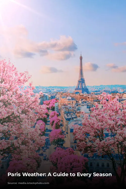 Paris Weather: A Guide to Every Season