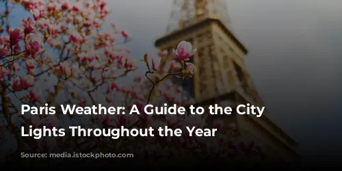 Paris Weather: A Guide to the City of Lights Throughout the Year