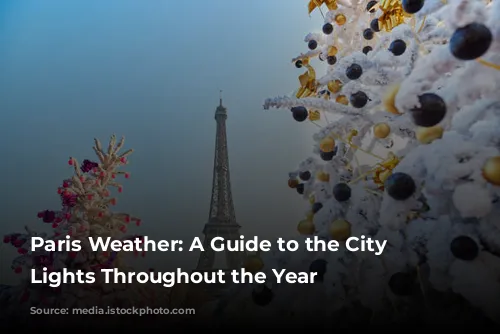 Paris Weather: A Guide to the City of Lights Throughout the Year