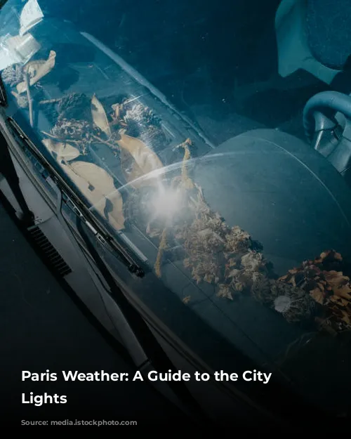 Paris Weather: A Guide to the City of Lights