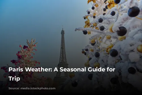 Paris Weather: A Seasonal Guide for Your Trip