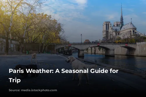 Paris Weather: A Seasonal Guide for Your Trip