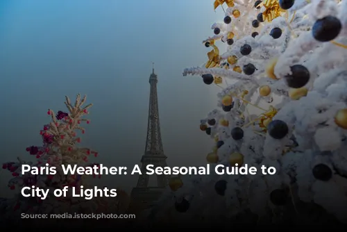 Paris Weather: A Seasonal Guide to the City of Lights