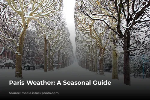 Paris Weather: A Seasonal Guide