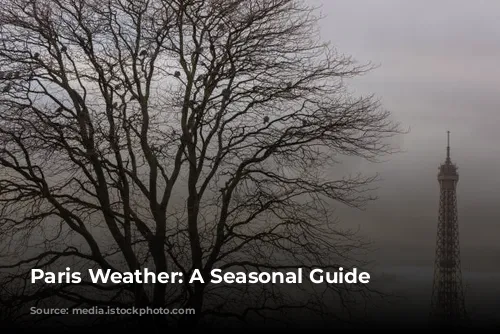 Paris Weather: A Seasonal Guide