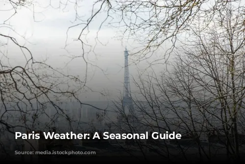 Paris Weather: A Seasonal Guide