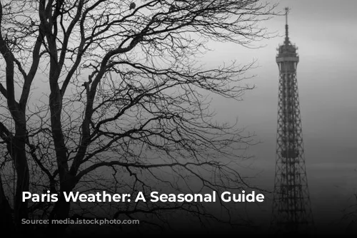 Paris Weather: A Seasonal Guide