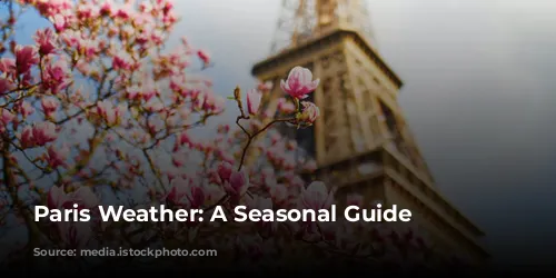 Paris Weather: A Seasonal Guide