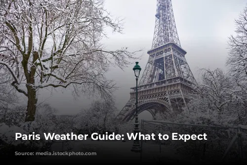 Paris Weather Guide: What to Expect Year-Round