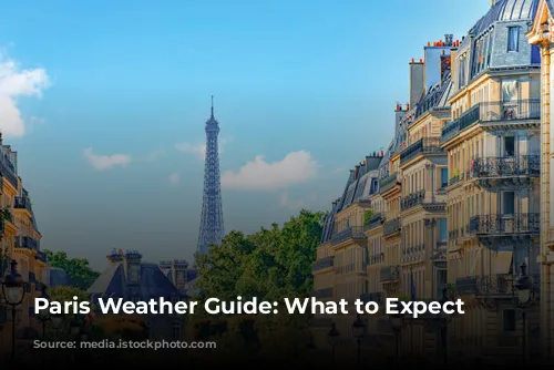 Paris Weather Guide: What to Expect Year-Round