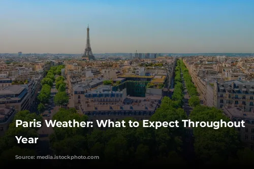 Paris Weather: What to Expect Throughout the Year