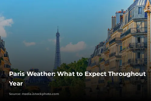 Paris Weather: What to Expect Throughout the Year