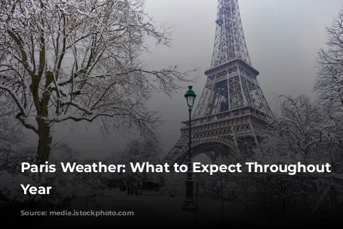 Paris Weather: What to Expect Throughout the Year