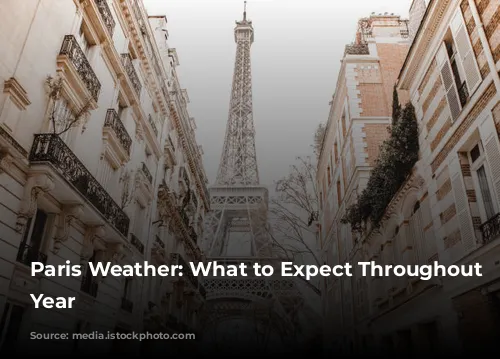 Paris Weather: What to Expect Throughout the Year