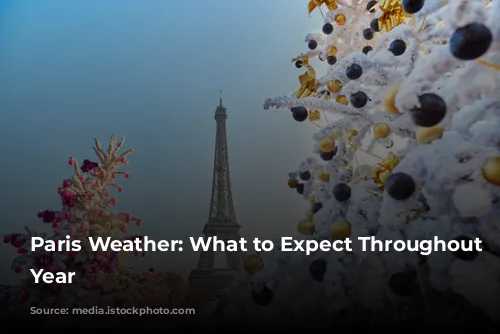 Paris Weather: What to Expect Throughout the Year