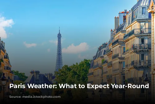 Paris Weather: What to Expect Year-Round