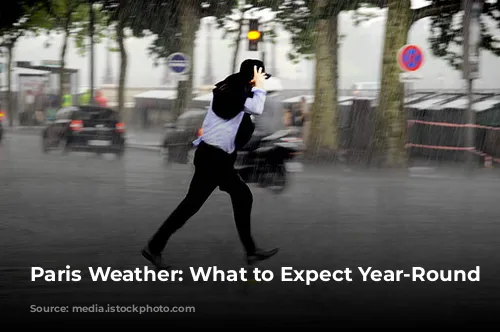 Paris Weather: What to Expect Year-Round