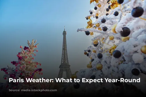 Paris Weather: What to Expect Year-Round