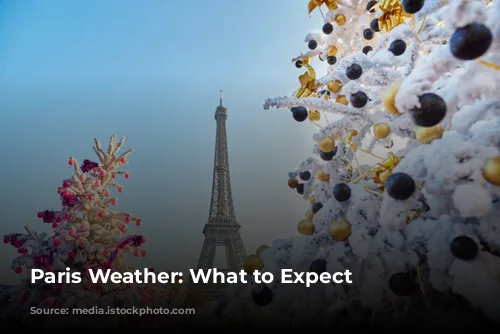 Paris Weather: What to Expect