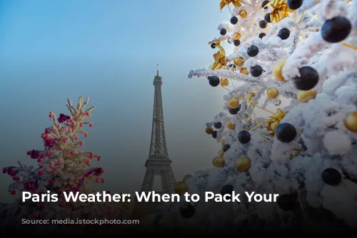 Paris Weather: When to Pack Your Bags?