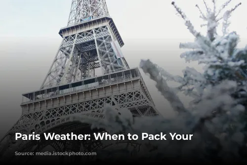 Paris Weather: When to Pack Your Bags?