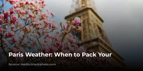 Paris Weather: When to Pack Your Bags?