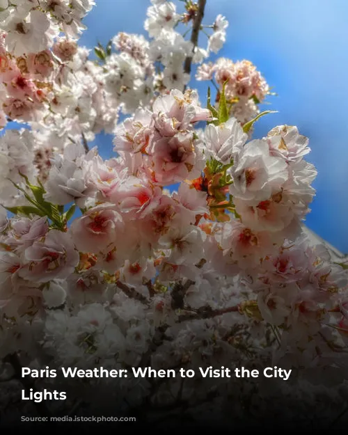 Paris Weather: When to Visit the City of Lights