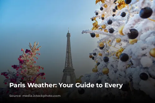 Paris Weather: Your Guide to Every Season