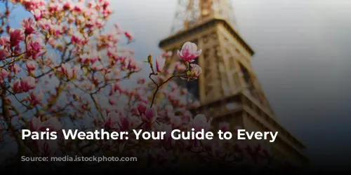 Paris Weather: Your Guide to Every Season